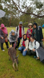 IMG-20161204-WA0013